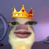 jjvsjdkvkdkdocsk