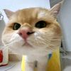 callmeeutiii28