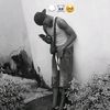 sureboi081