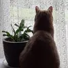 catherinedouchet5