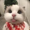 jiddy301006