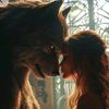 🐺 LOUP DZ🐺