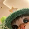 www.tiktok.confley