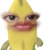 swlsyy