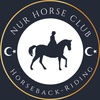 Nur Horse Club | خيل اسطنبول