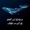 ma_ri_em_20_25