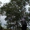 ulhusna81
