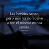 user291335luci