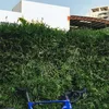 quoctran.story