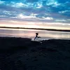 bronte_2421