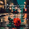 younusali3612