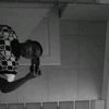 alwas._.obsession