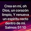 evelingbustos0