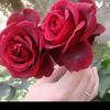user75qnrli5g4