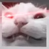 userm310cvqxc1