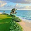 areenehad50