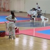 elif_8tkd