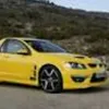 yellowsquirrel03