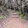 carolinamd255