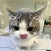 kilaa_1232
