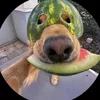 gabbbb433
