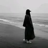m_za313
