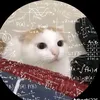 khong_la_khong0