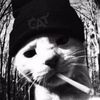fck_spr12