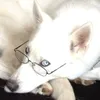 droolgrl