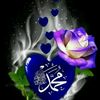 mosharrof279