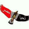 tarekalmassry927
