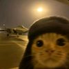 therussiancat1
