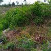mukadi178