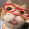 el_sassy0