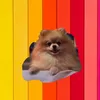 ichiko_puptv