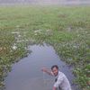 mdrajibhossin702