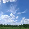 nhinhetnoi66_99