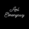 aml.fhmey