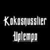 dj.kokosnusstier
