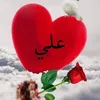 user8631104704755