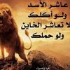 user2823131147784