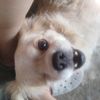 wilson_2327