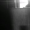 roach_vitel0915