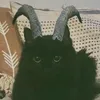 user_666666_0
