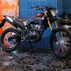 aliakabar523
