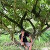 ulu.ladiang