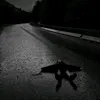 user0p76sjuocu