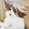 meowibu