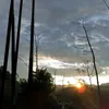 sanssss....1
