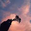 thanhthaonguyen2820
